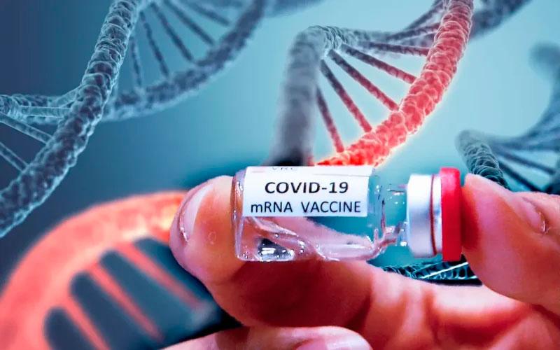 Morts vaccin